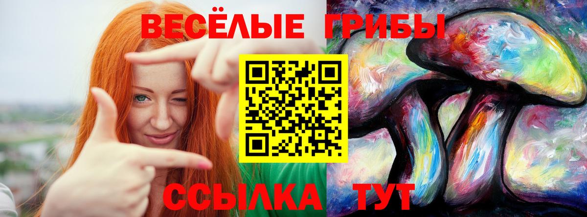 Боровичи  Псилоцибиновые грибы Cubensis  Вход с VPN 